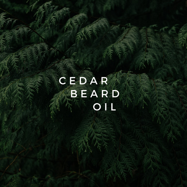 Cedar Beard Oil-skin rejuvenation necessary after shaving